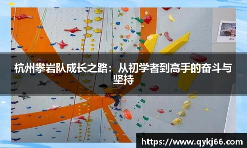 杭州攀岩队成长之路：从初学者到高手的奋斗与坚持