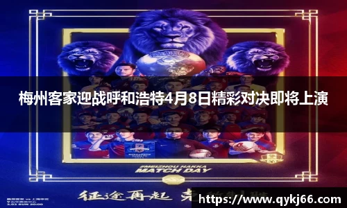 悟空体育
